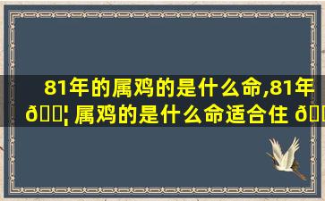 81年的属鸡的是什么命,81年 🐦 属鸡的是什么命适合住 💐 什么楼层